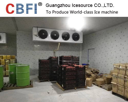 Blast Freezer Cold Room Storage For Fishery Beef And Meat